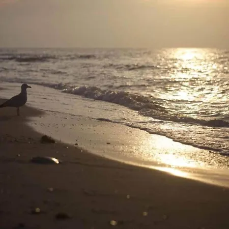 Lägenhet Geraeumige Mit Garten In Brusow *