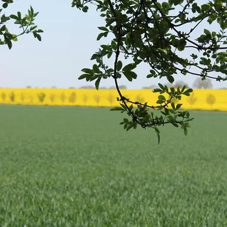 Lägenhet Geraeumige Mit Garten In Brusow
