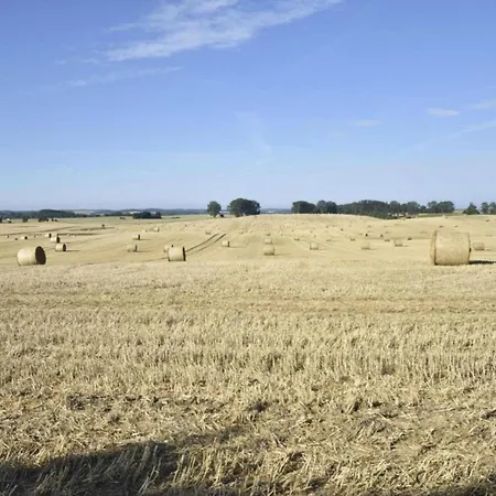 Geraeumige Mit Garten In Brusow Lägenhet
