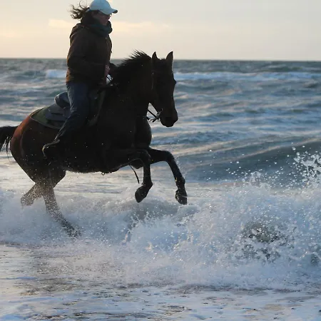 Geraeumige Mit Garten In Brusow * Kröpelin