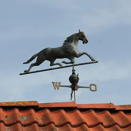 Geraeumige Mit Garten In Brusow Lägenhet *