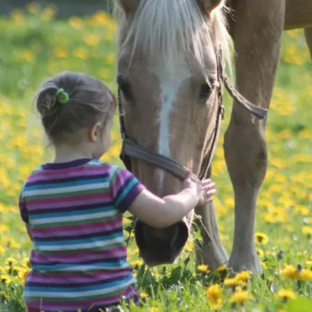 Appartamento Geraeumige Mit Garten In Brusow *