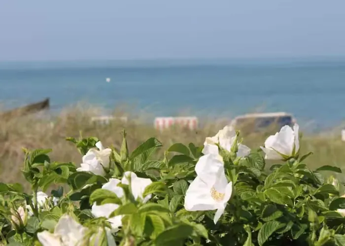 Geraeumige Mit Garten In Brusow