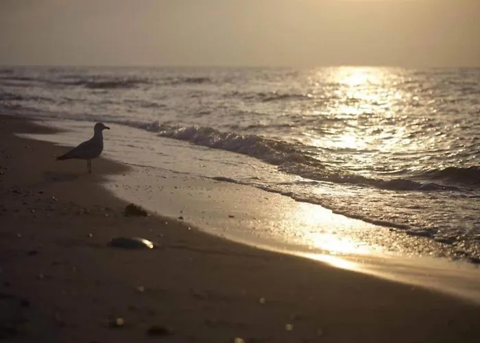 公寓 Geraeumige Mit Garten In Brusow *