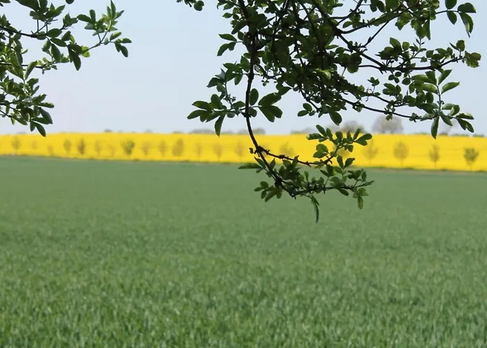 公寓 Geraeumige Mit Garten In Brusow