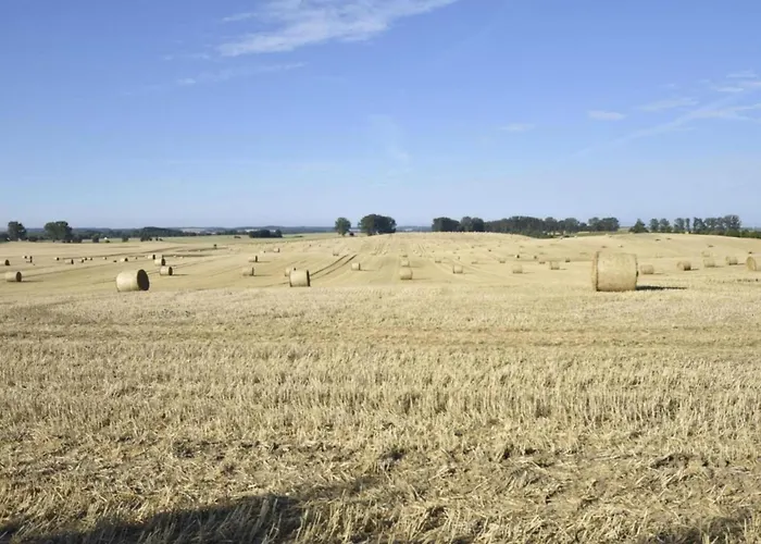 Geraeumige Mit Garten In Brusow 公寓