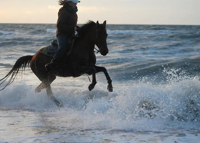 Geraeumige Mit Garten In Brusow * Kröpelin