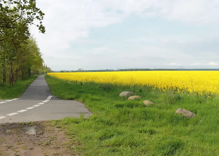 公寓 Geraeumige Mit Garten In Brusow Kröpelin