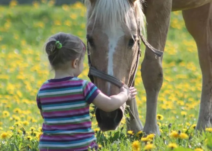 公寓 Geraeumige Mit Garten In Brusow *
